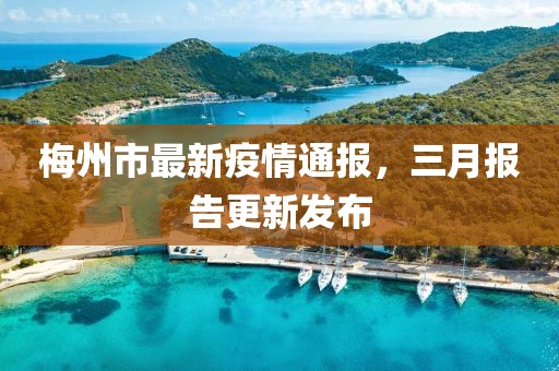 梅州市最新疫情通報,三月報告更新發(fā)布