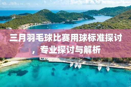 三月羽毛球比賽用球標準探討,專業(yè)探討與解析