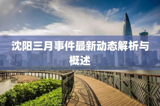 沈陽三月事件最新動態解析與概述