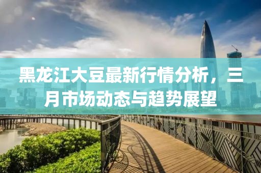 黑龍江大豆最新行情分析,三月市場動態(tài)與趨勢展望