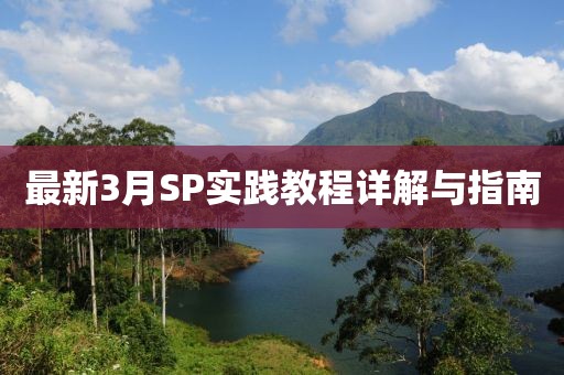 最新3月SP實踐教程詳解與指南