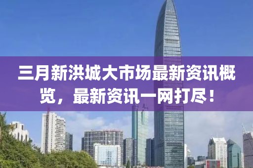 三月新洪城大市場最新資訊概覽，最新資訊一網打盡！