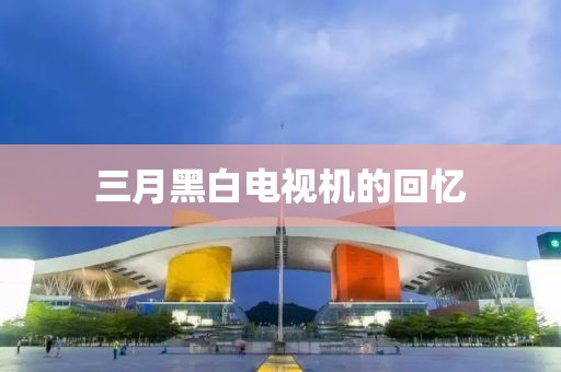 三月黑白電視機的回憶