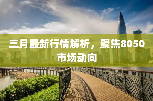 三月最新行情解析,聚焦8050市場動向
