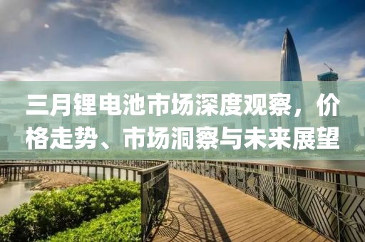 三月鋰電池市場深度觀察,價格走勢、市場洞察與未來展望