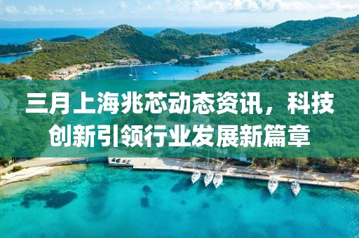 三月上海兆芯動態資訊,科技創新引領行業發展新篇章