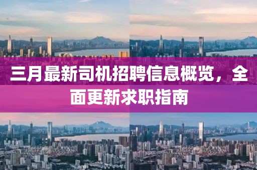 三月最新司機招聘信息概覽,全面更新求職指南