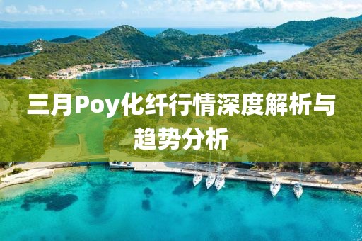 三月Poy化纖行情深度解析與趨勢(shì)分析