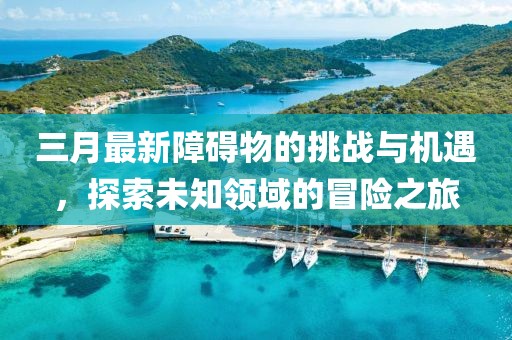 三月最新障礙物的挑戰與機遇,探索未知領域的冒險之旅