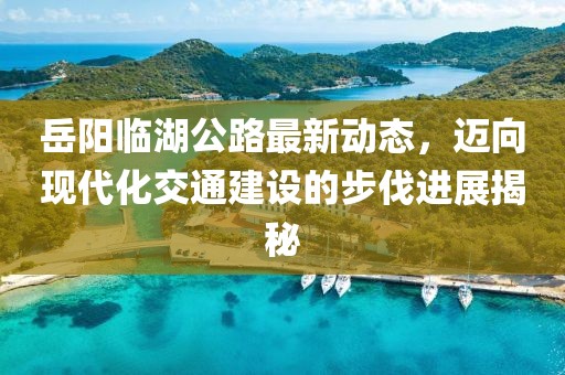 岳陽臨湖公路最新動態(tài),邁向現(xiàn)代化交通建設的步伐進展揭秘