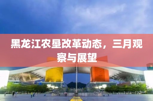 黑龍江農(nóng)墾改革動(dòng)態(tài),三月觀察與展望