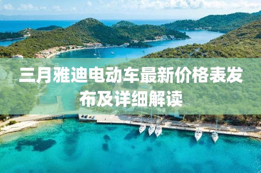 三月雅迪電動車最新價格表發布及詳細解讀