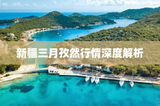 新疆三月孜然行情深度解析