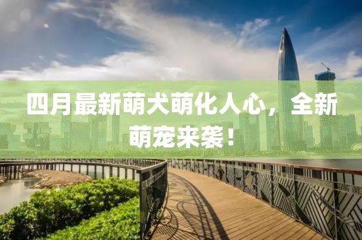 四月最新萌犬萌化人心,全新萌寵來襲!