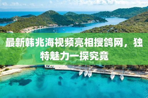 最新韓兆海視頻亮相搜鴿網,獨特魅力一探究竟
