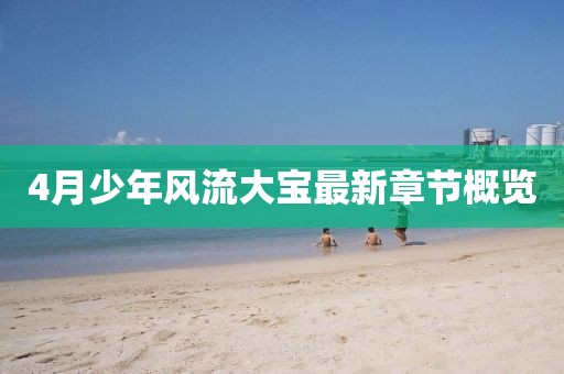 4月少年風流大寶最新章節概覽