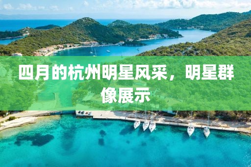 四月的杭州明星風(fēng)采，明星群像展示