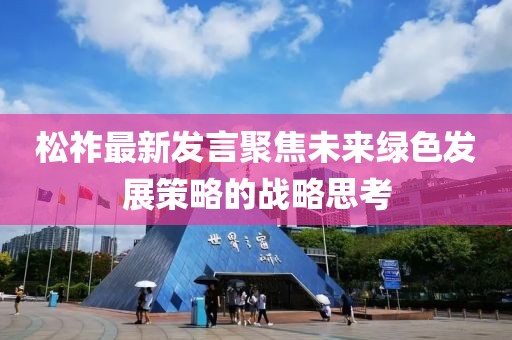 松祚最新發言聚焦未來綠色發展策略的戰略思考