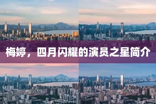 梅婷,四月閃耀的演員之星簡介