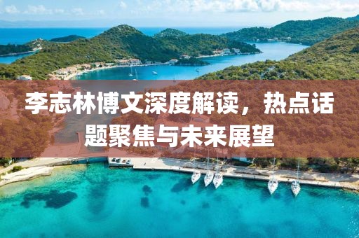 李志林博文深度解讀,熱點話題聚焦與未來展望