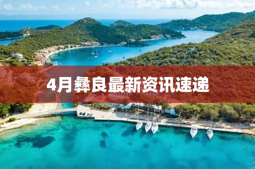 4月彝良最新資訊速遞