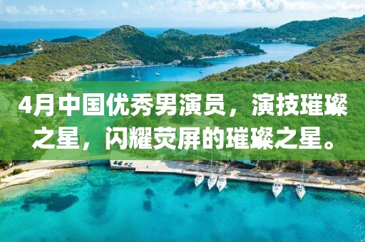 4月中國優秀男演員，演技璀璨之星，閃耀熒屏的璀璨之星。