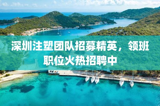 深圳注塑團隊招募精英，領班職位火熱招聘中