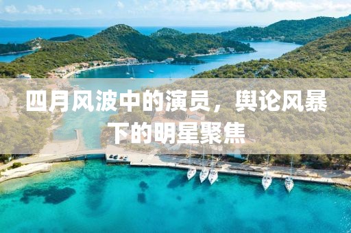 四月風波中的演員，輿論風暴下的明星聚焦