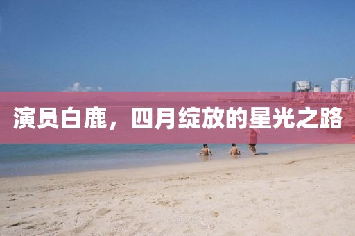 演員白鹿,四月綻放的星光之路