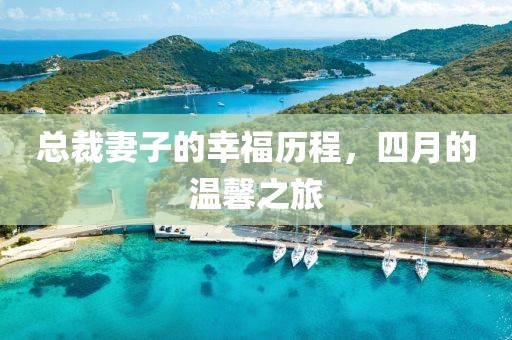 總裁妻子的幸福歷程,四月的溫馨之旅