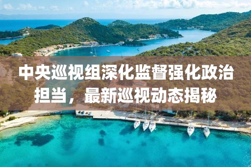 中央巡視組深化監(jiān)督強(qiáng)化政治擔(dān)當(dāng),最新巡視動(dòng)態(tài)揭秘