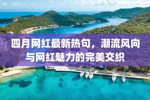 四月網紅最新熱句,潮流風向與網紅魅力的完美交織