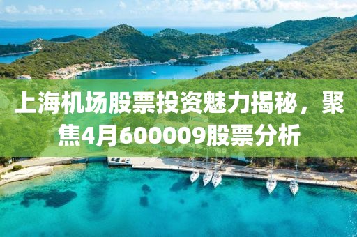 上海機場股票投資魅力揭秘,聚焦4月600009股票分析