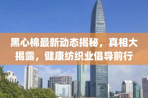 黑心棉最新動態揭秘，真相大揭露，健康紡織業倡導前行