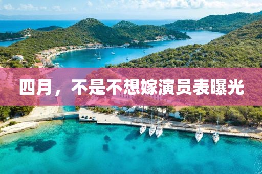 四月,不是不想嫁演員表曝光