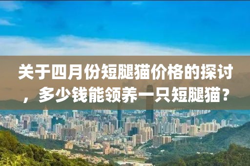 關(guān)于四月份短腿貓價(jià)格的探討,多少錢(qián)能領(lǐng)養(yǎng)一只短腿貓?