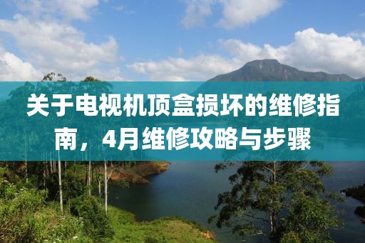 關于電視機頂盒損壞的維修指南,4月維修攻略與步驟