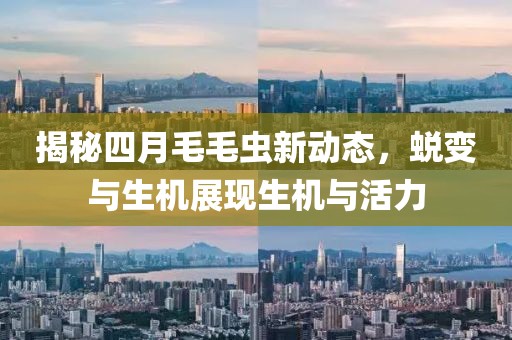 水云間 第3頁