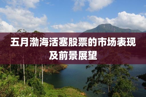 五月渤海活塞股票的市場表現(xiàn)及前景展望