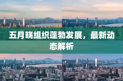 五月曉組織蓬勃發(fā)展,最新動(dòng)態(tài)解析