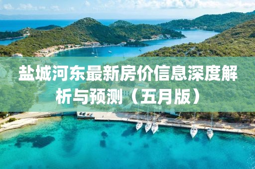 鹽城河東最新房價信息深度解析與預測(五月版)