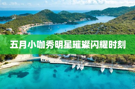 五月小咖秀明星璀璨閃耀時刻