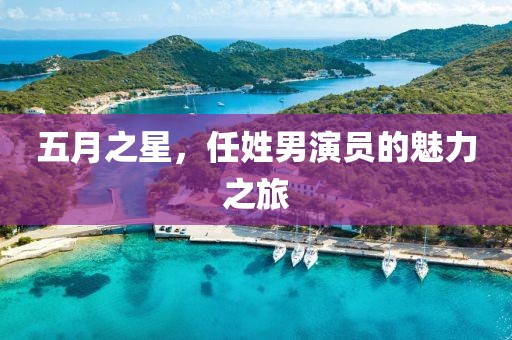 五月之星,任姓男演員的魅力之旅