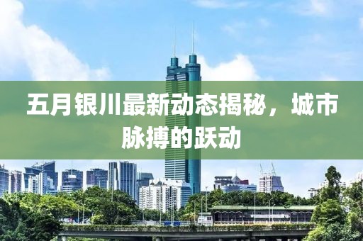 五月銀川最新動態揭秘，城市脈搏的躍動
