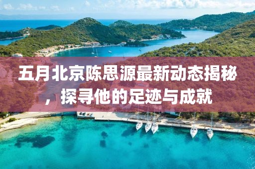 五月北京陳思源最新動態揭秘,探尋他的足跡與成就