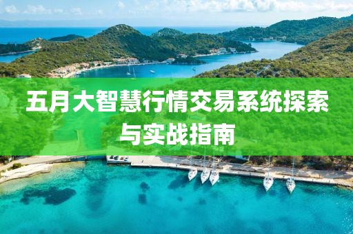 五月大智慧行情交易系統(tǒng)探索與實戰(zhàn)指南