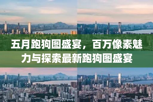 五月跑狗圖盛宴,百萬像素魅力與探索最新跑狗圖盛宴