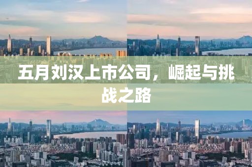五月劉漢上市公司,崛起與挑戰之路