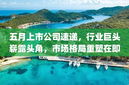 五月上市公司速遞,行業巨頭嶄露頭角,市場格局重塑在即