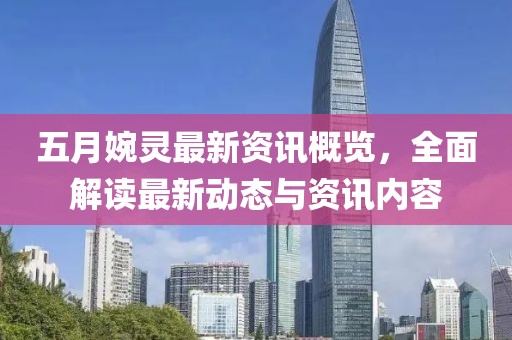 五月婉靈最新資訊概覽,全面解讀最新動態與資訊內容